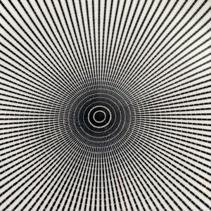 Royal Norfolk Black & White Optical Illusion ‘Dash’ porcelain dinner plate 10.5”